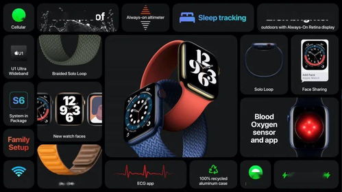 Apple Watch Series 6 的玄机 U1 芯片与无线 CarPlay 如何重塑手腕上的智能生态